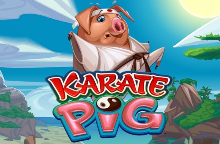 Most entertaining play with Karate Pig